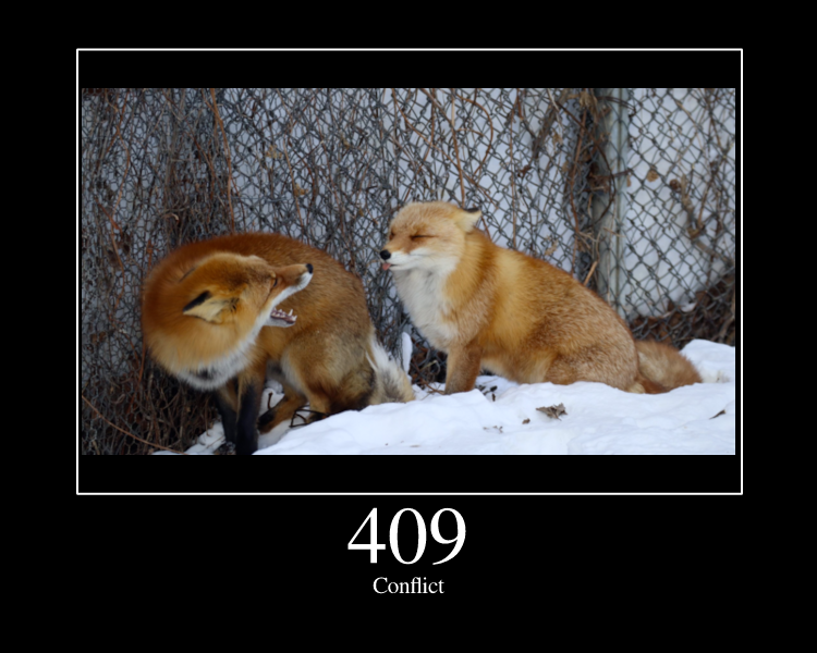 Conflict