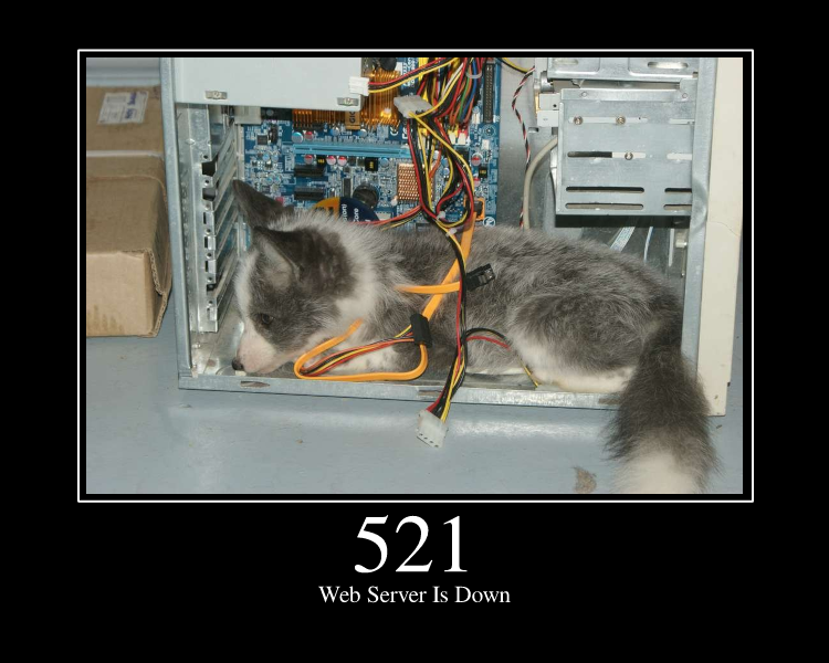 Web Server Is Down